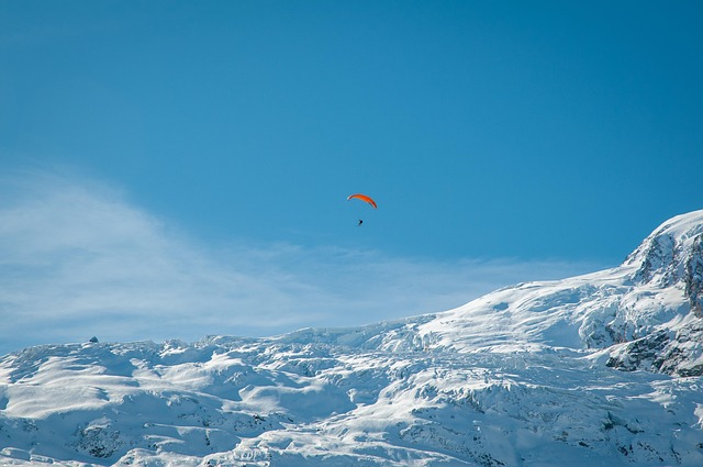 Undgå fælderne – her er de skjulte gebyrer bag billige mobilpriser